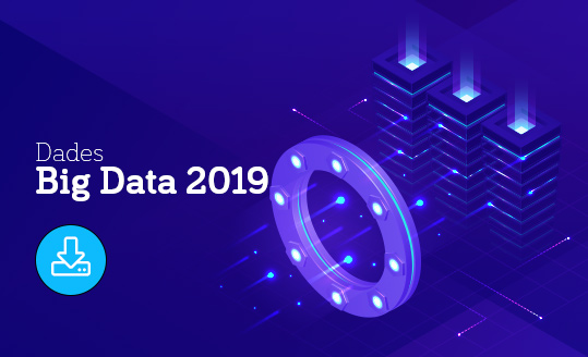 Dades Big Data 2019